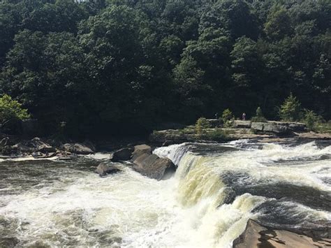Four yurts and six cabins upgrade your glamping experience. Ohiopyle State Park: Aggiornato 2017 - Tutto quello che c ...
