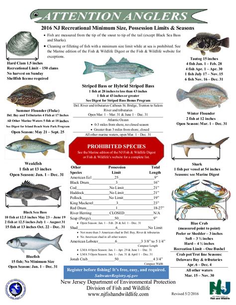 Saltwater Fishing Regulations Virginia