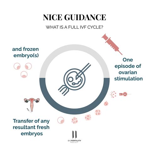 Nice Ivf Cycle Definition The Big Fertility Project