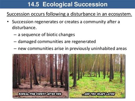 Interactions In Ecosystems Ch 14
