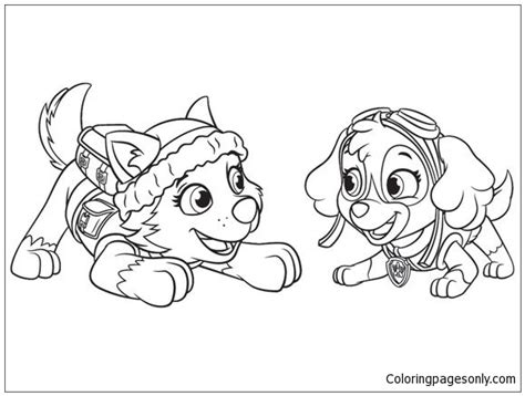 Skye And Everest Paw Patrol Coloring Page Depp My Fav Images And