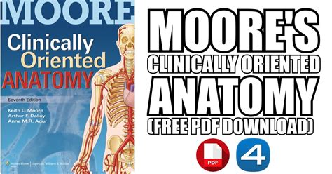 Moores Clinically Oriented Anatomy 7th Edition Pdf Free Download