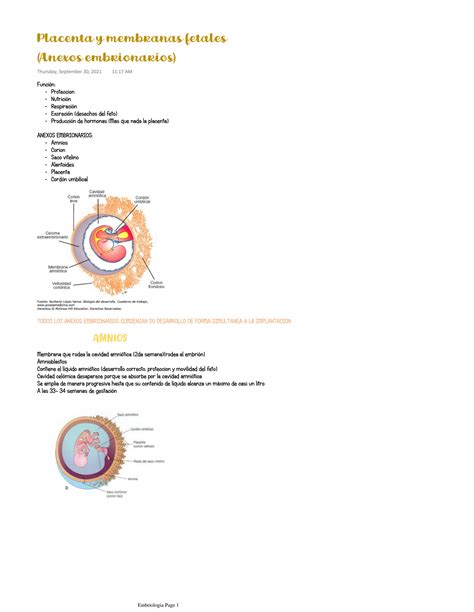 Solution Placenta Y Membranas Fetales Anexos Embrionarios Studypool