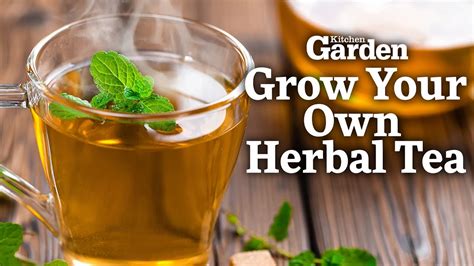 How To Grow Your Own Herbal Tea Kitchen Garden Magazine Youtube