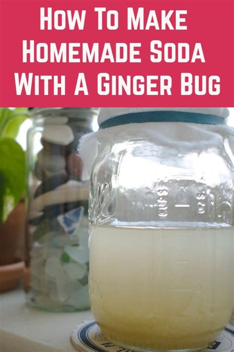 How To Make Homemade Soda With A Ginger Bug Homemade Syrup Homemade