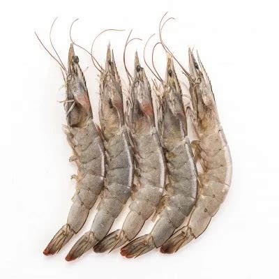 Whole Skinless Shrimps Seafood Vannamei Shrimp Frozen Buy Whole