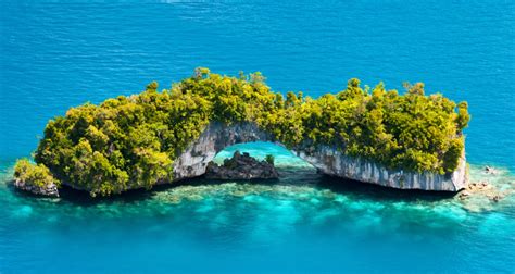 7 Delightful Things To Do In Palau