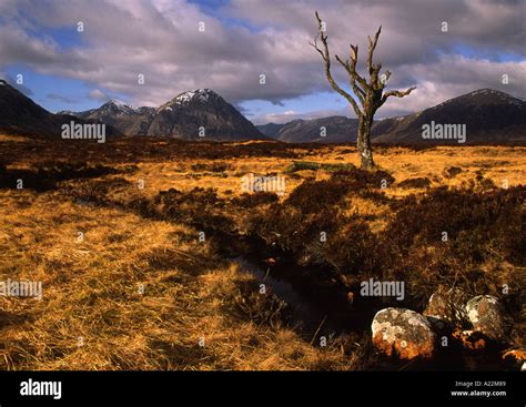 Rannoch Moor Scotland Stock Photo Alamy