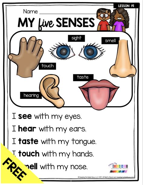 Five Senses Science Worksheets For Grade 1 Body Parts Thekidsworksheet