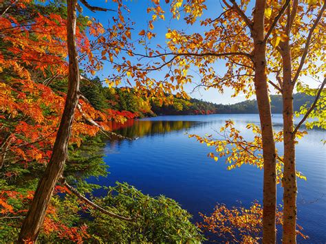 Picture Autumn Nature Lake Forests Landscape Photography Seasons