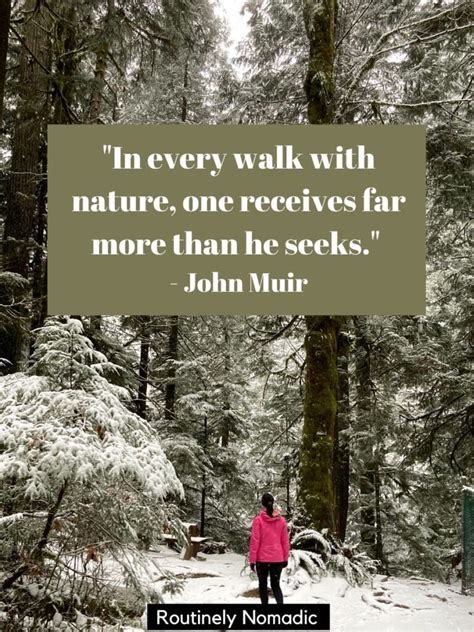 The Best Walking Quotes And Captions For 2023 Routinely Nomadic
