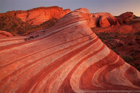 Fire Wave Valley Of Fire State Park Nevada Photos By Ron Niebrugge