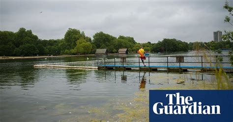 The Swimmer A Journey Across Londons Ponds And Lidos In Pictures