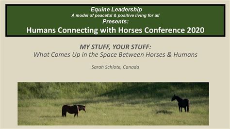 Humans Connecting With Horses Conference My Stuff Your Stuff Youtube