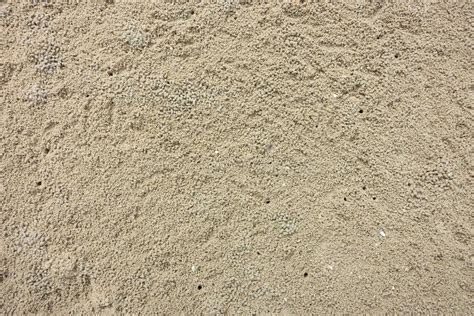 Sandy Soil Texture Background Stock Photo Image Of Coinssilver
