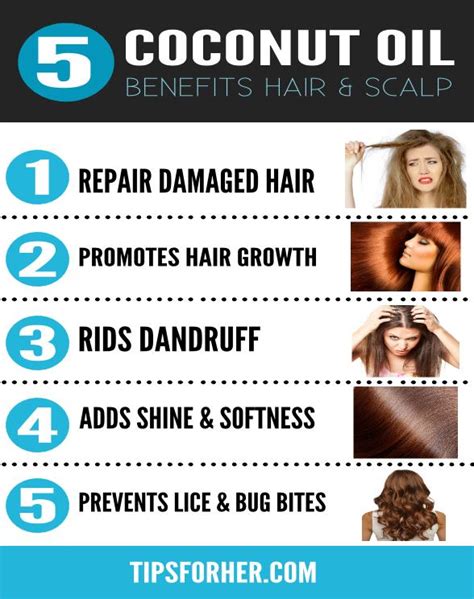 5 Hair Benefits Using Coconut Oil