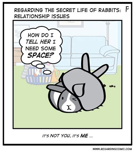 26 cute illustrations showing the secret life of rabbits artofit