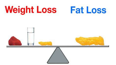 Are Weight Loss And Fat Loss The Same Thing Xbodyconcepts