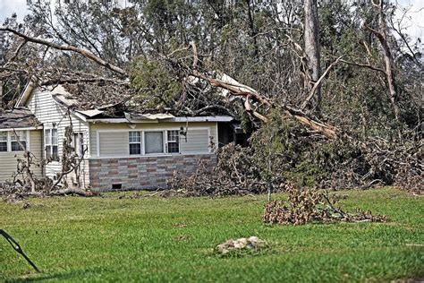 Photos Marianna Florida After Hurricane Michael News