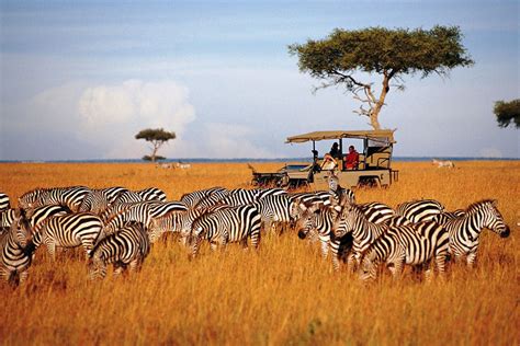 Breath Taking Serengeti Safari 03days/02nights: | Eden tours and travel