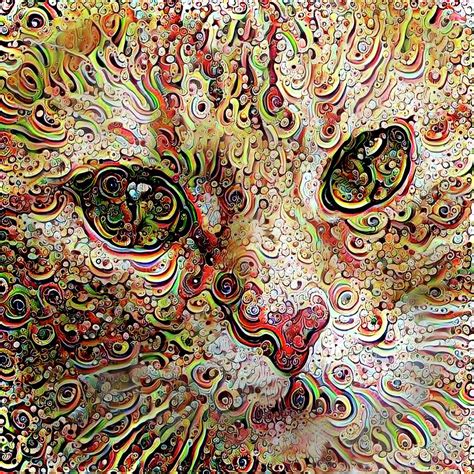 Psychedelic Cat Digital Art By Peggy Collins Pixels