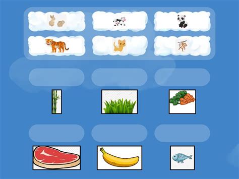 Pengelompokkan Hewan Berdasarkan Jenis Makanannya Match Up