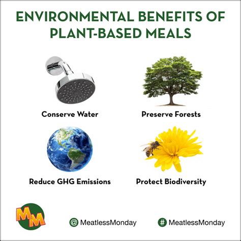 Environmental Benefits Of Meatless Monday And Plant Based Eating