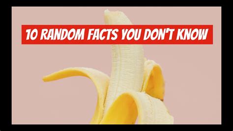 10 Random Facts I Bet You Didn T Know Youtube