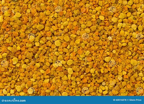 Bee Pollen Stock Photo Image Of Supplement Ingredient 60016878