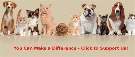 Sterling Animal Shelter Donation Banner