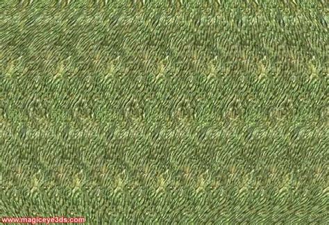 Magic Eye Magic Eye Pictures 3d Pictures Cool Photos Eye Illusions