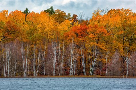 Minnesota Fall Colors Guide For This Weekend State Map