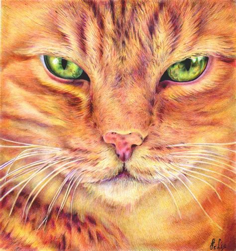 Ginger Cat Ballpoint Pen By Margaritafelis On Deviantart Cats