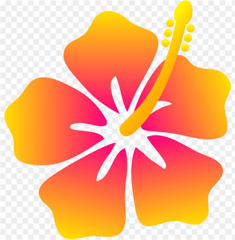 Hawaiian Flowers Clipart Background Best Flower Site