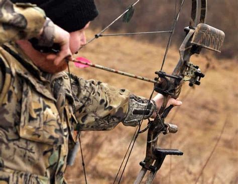 The Basics Bow Hunting For Beginners