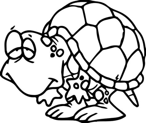 Viajero Tortuga Para Colorear Imprimir E Dibujar Coloringonlycom Porn