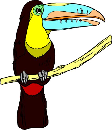 Free Toucan Cliparts Download Free Toucan Cliparts Png Images Free