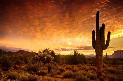 A Desert Sunrise Photograph By Saija Lehtonen Pixels
