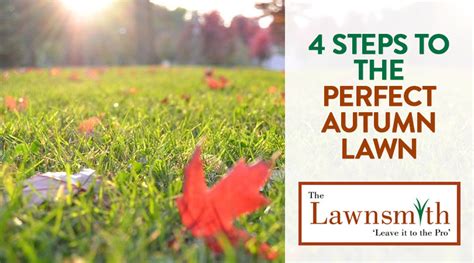 4 Steps To The Perfect Autumn Lawn