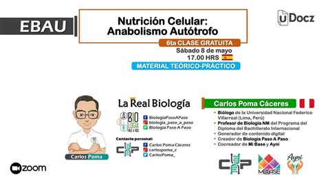 Nutrición Celular Anabolismo Autótrofo Udocz