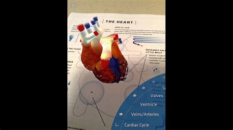 New Update To Daqris Anatomy 4d App The Heart Target Youtube