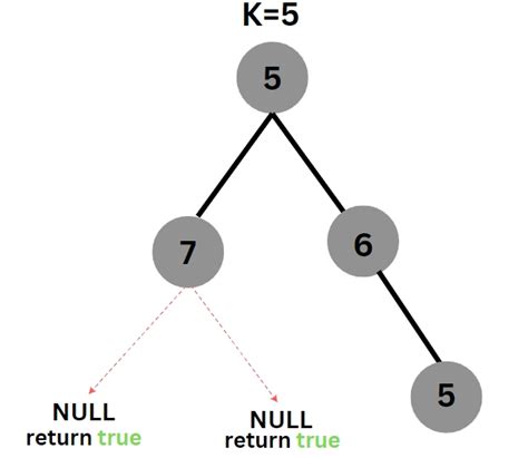 Binary Tree Coding Ninjas