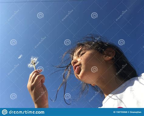 A Little Girl Blowing Dandelion Seeds Stock Photo Image Of Activity
