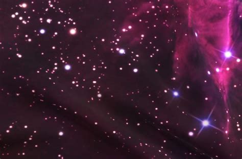Fox Fur Nebula Large Up To 3 Yds Spoonflower