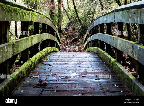 Moss Covered Bridge Hi Res Stock Photography And Images Alamy