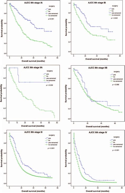 Overall Survival Based On Tumor Node And Metastasis Tnm Stages