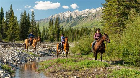 Trail Riders Of The Canadian Rockies A Legacy Of Mountain Exploration