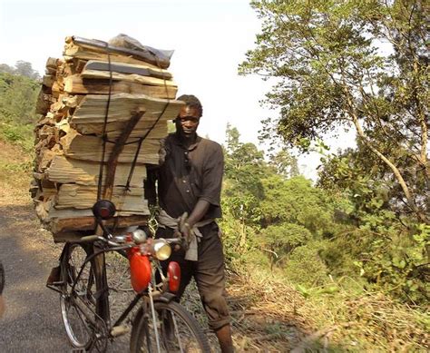 A Man On A Bike With Stacks Of Wood In The Back Basket And Another