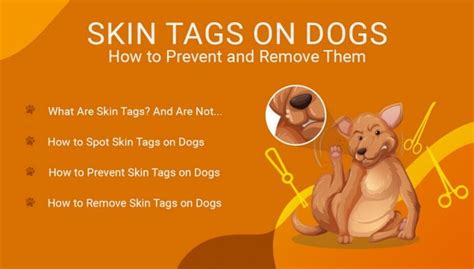 Skin Tags On Dogs How To Prevent And Remove Skin Tags From Your Dog
