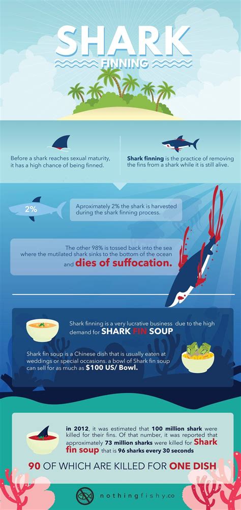 Shark Finning The Facts Behind The Cruelty Infographic ~ Visualistan